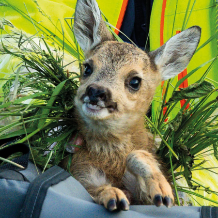 Unser Engagement in der Region – Design ohne Titel