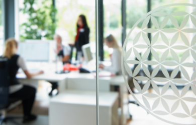 BCU Business Center Ulm GmbH & Co. KG